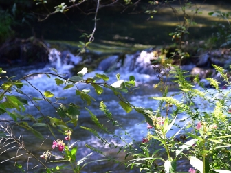 Kleine Drau