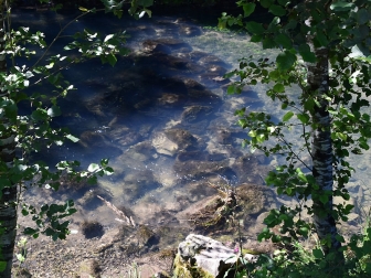 Kleine Drau