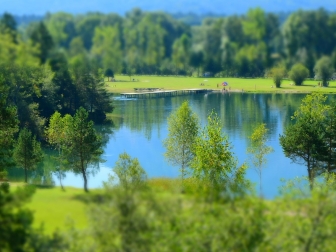 Der See