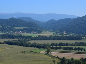 Saualm