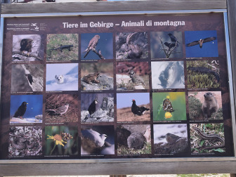 Tierwelt