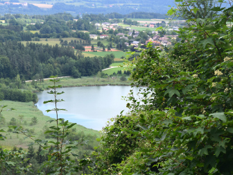 Kleinsee