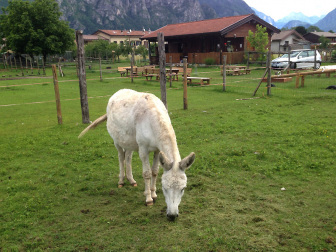 Borgo Poscolle