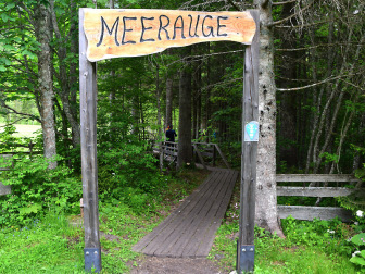Meerauge