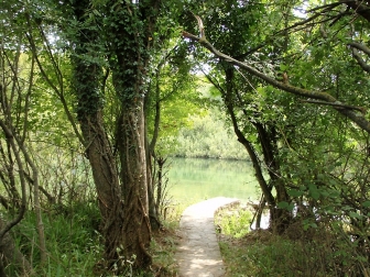 Krupa
