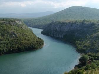 Cetina