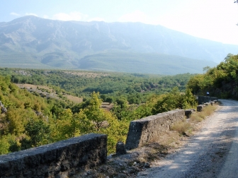 Dinara