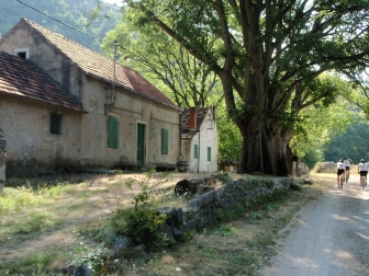 Altes Haus