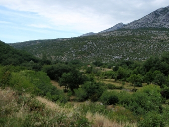 Hinterland