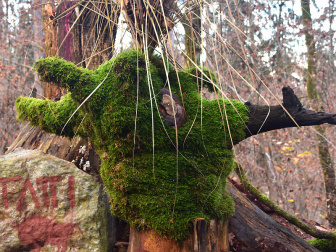 Waldgeister am Kreuzbergl in Klagenfurt