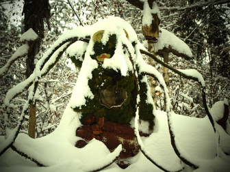 Waldgeister28_Alpe_Adria_Bl