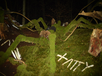 Waldgeister31_Alpe_Adria_Bl