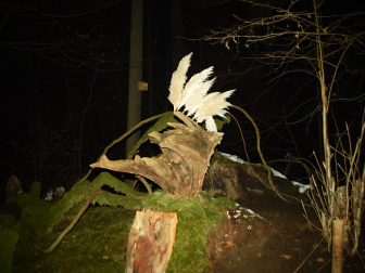 Waldgeister32_Alpe_Adria_Bl