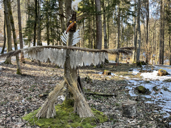 Waldgeister am Kreuzbergl in Klagenfurt