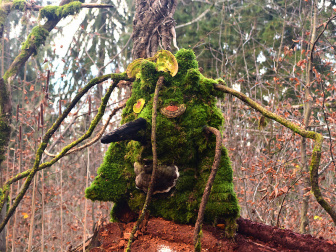 Waldgeister am Kreuzbergl in Klagenfurt