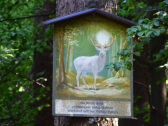 Weißer Hirsch