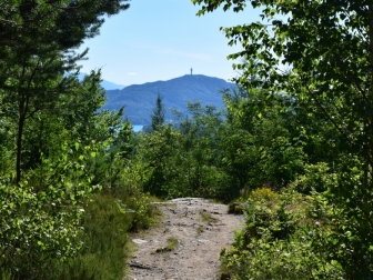Pyramidenkogel im Blick