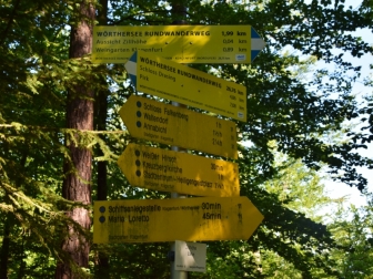 Der totale Durchblick