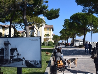 Villa Bianchi