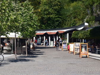 Postojnska jama