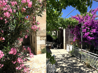 Blumen