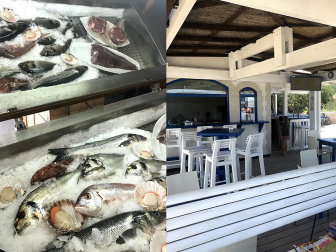 Frischer Fisch