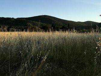 Veliki Bokolj