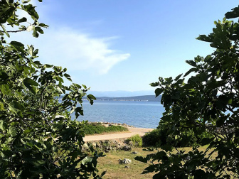 Zadar