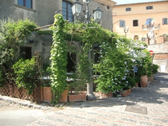 Bar Vitelli