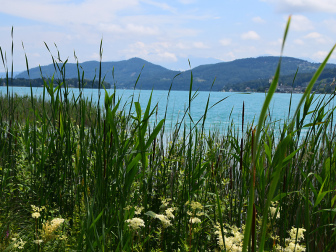 Landspitz