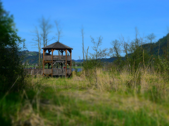 Bleistätter Moor am Ossiacher See