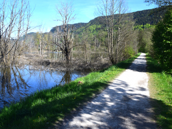 Bleistätter Moor am Ossiacher See