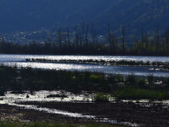 Bleistätter Moor am Ossiacher See