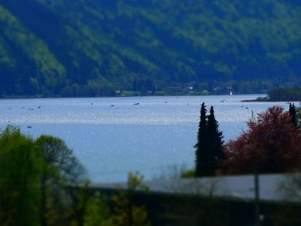 Bleistätter Moor am Ossiacher See