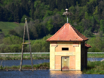 Bleistätter Moor am Ossiacher See