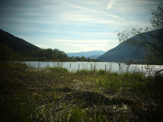 Bleistätter Moor am Ossiacher See
