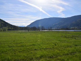 Bleistätter Moor am Ossiacher See