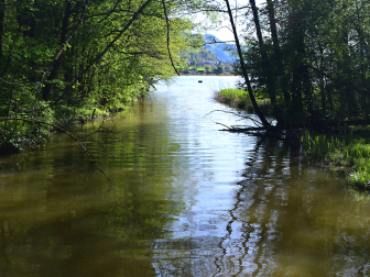 Bleistätter Moor am Ossiacher See