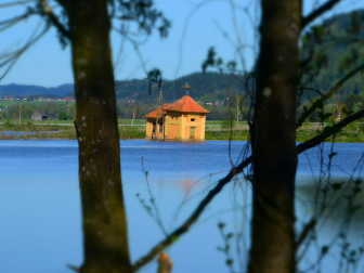 Bleistätter Moor am Ossiacher See