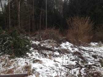 Hohlweg