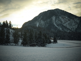 Winter