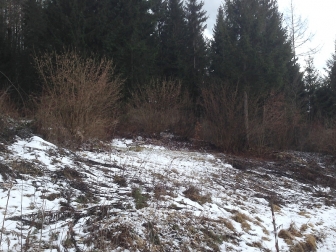 Hohlweg