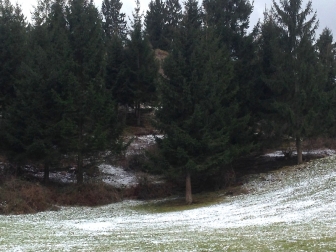Skispringen