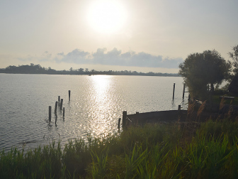 Lagune