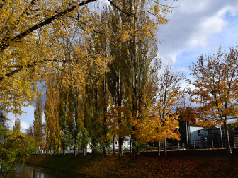 Spaziergang am Lendkanal
