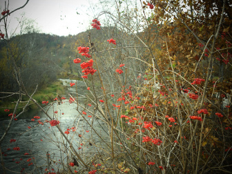 Spaziergang beim Badesee Ferlach