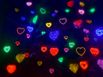 Villacher Winter Wunder Wald