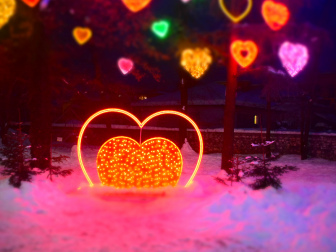 Villacher Winter Wunder Wald