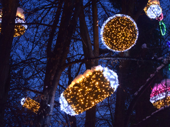 Villacher Winter Wunder Wald