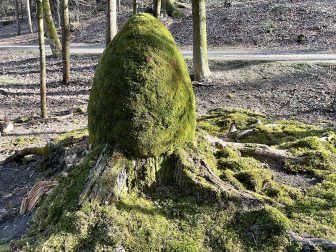 Vogelparadies am Kreuzbergl